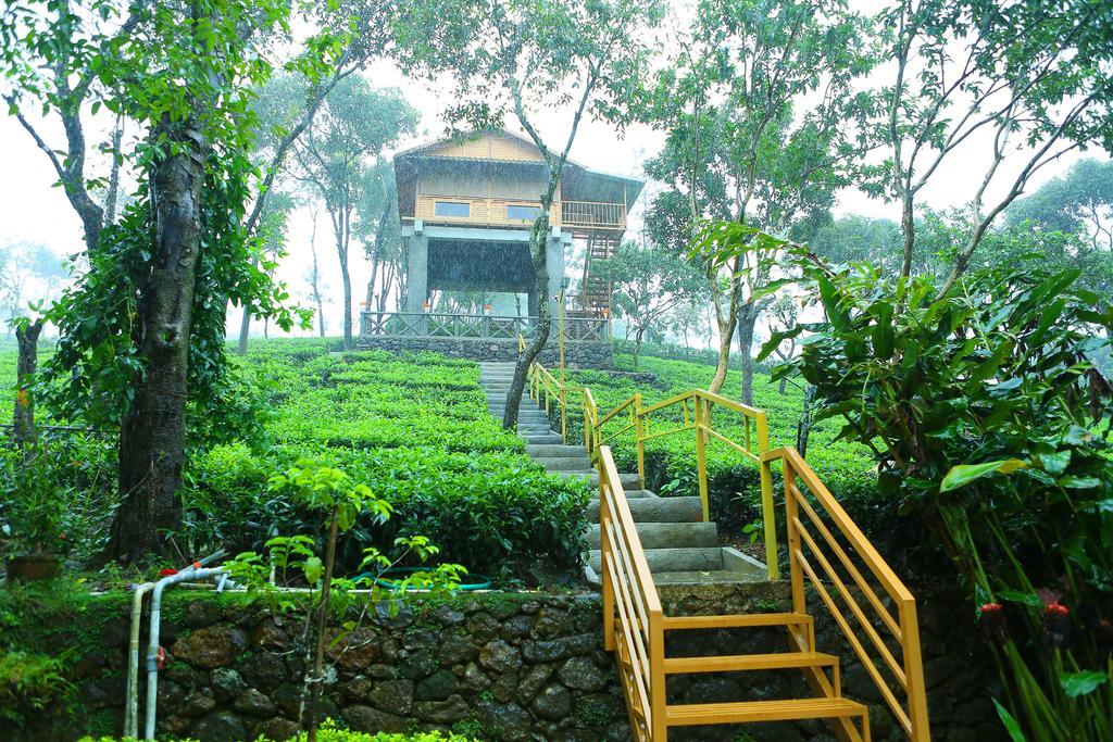 Holiday Vagamon Room photo